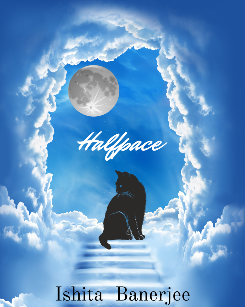 Halfpace image 2